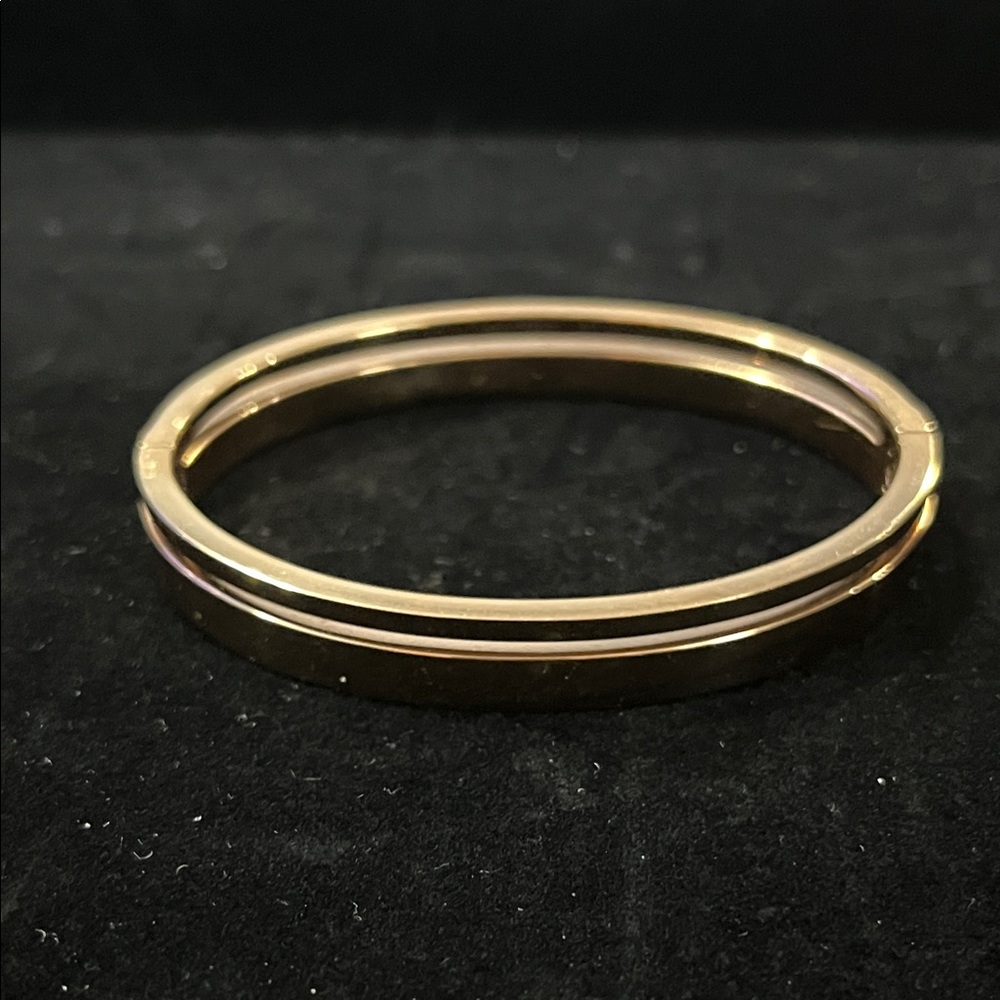 1622 Michael Kors Gold Hinge Bangle with Crystal Detailing - Picture 4 of 7